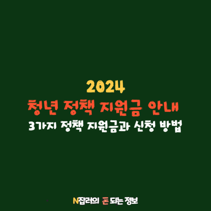 청년 정책 지원금