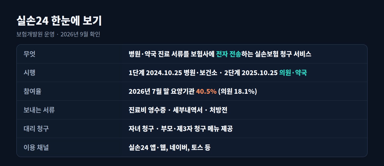 실손24 요약표: 서비스 내용, 시행 일정, 참여율, 전송 서류, 대리 청구, 이용 채널
